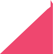 SEO Leader