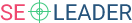 SEO Leader